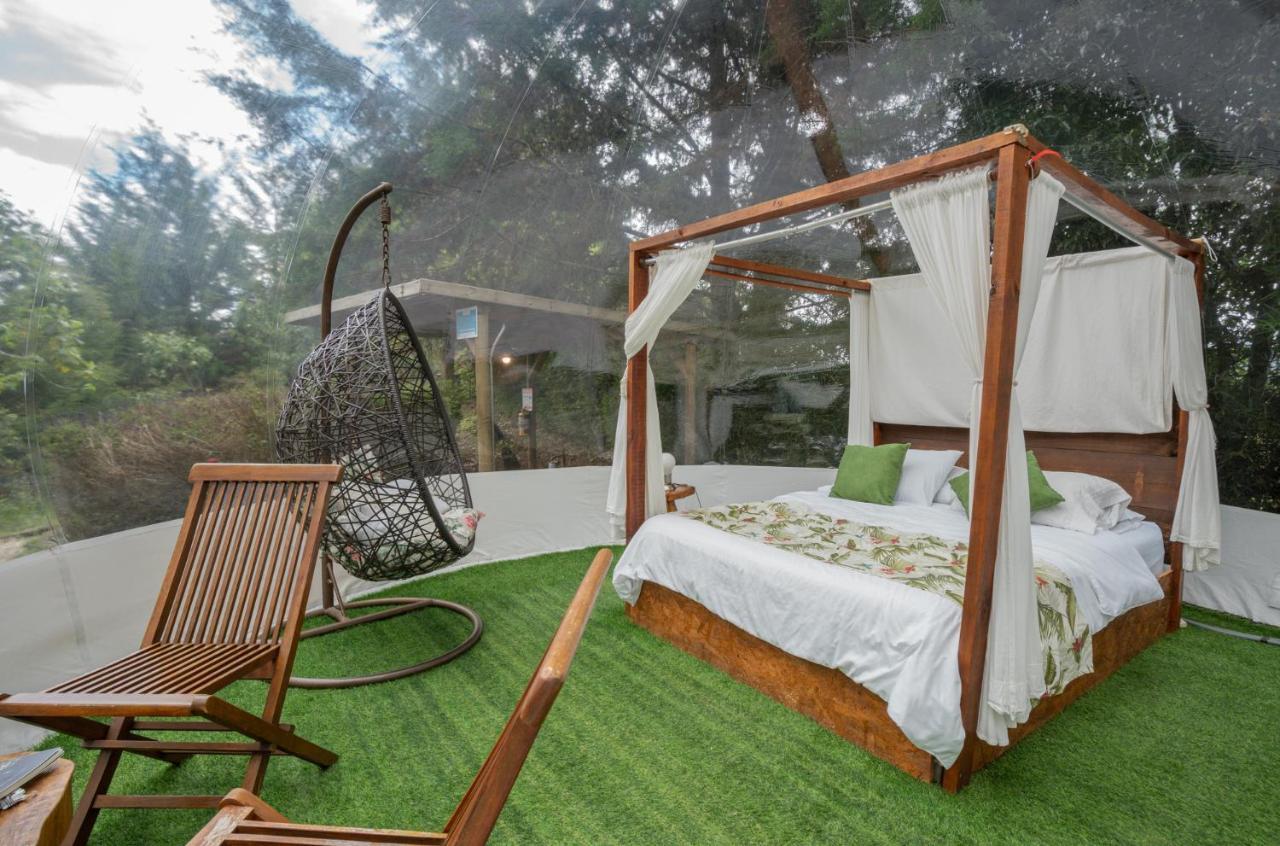 מלון אל רטירו Bubblesky Glamping 40 Min From Medellin מראה חיצוני תמונה