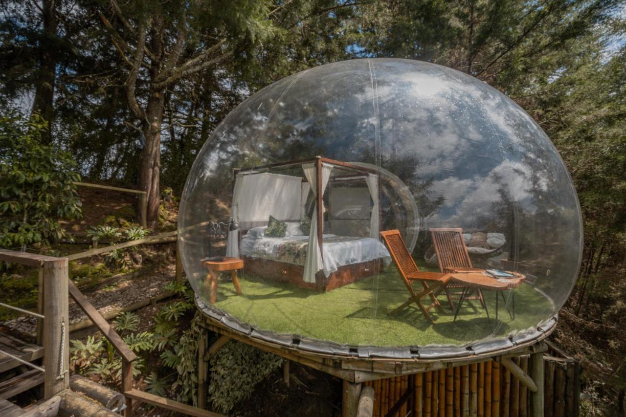 מלון אל רטירו Bubblesky Glamping 40 Min From Medellin מראה חיצוני תמונה