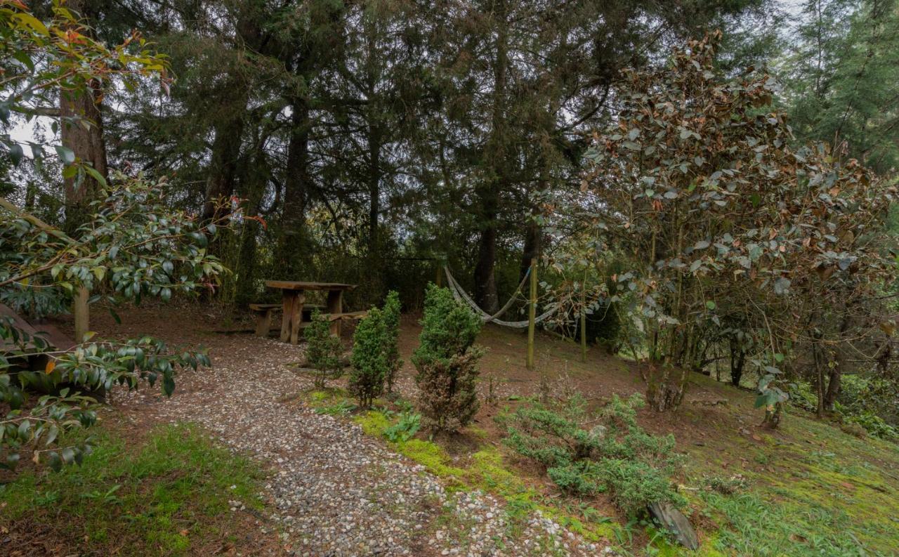 מלון אל רטירו Bubblesky Glamping 40 Min From Medellin מראה חיצוני תמונה
