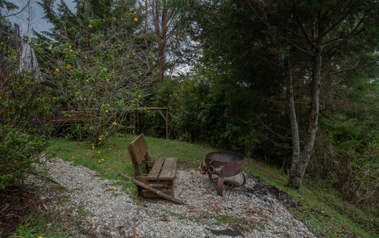 מלון אל רטירו Bubblesky Glamping 40 Min From Medellin מראה חיצוני תמונה