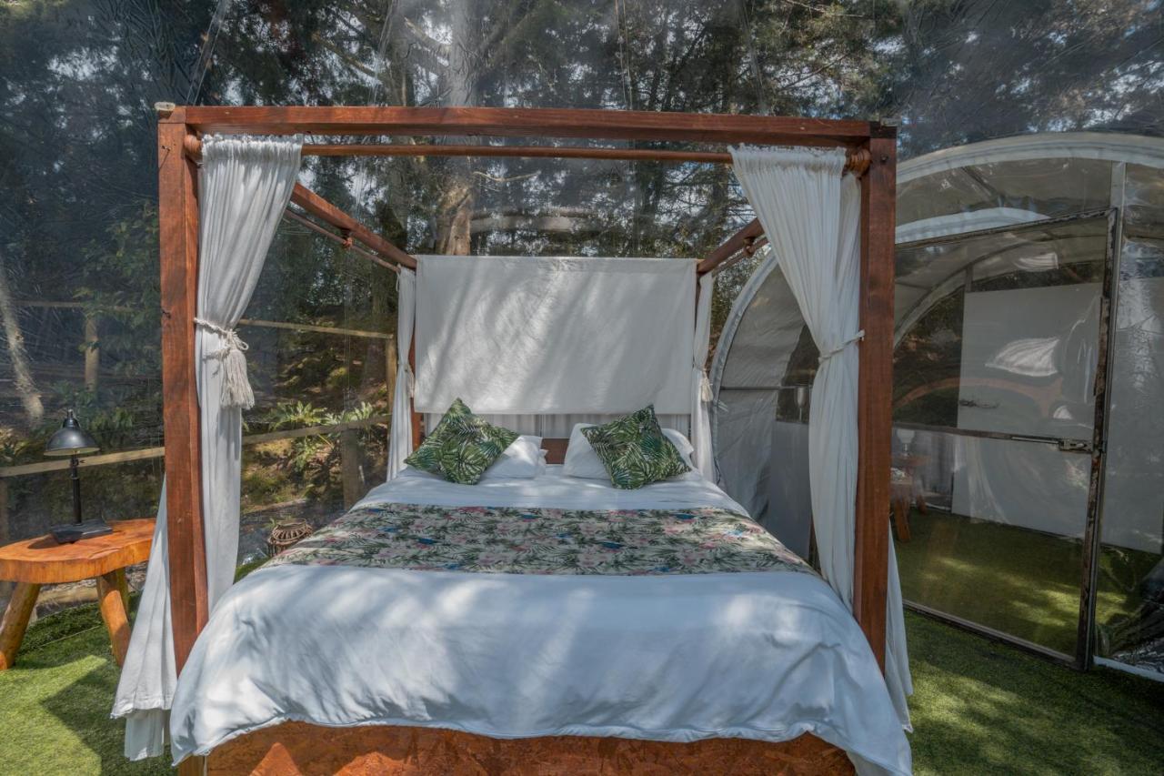 מלון אל רטירו Bubblesky Glamping 40 Min From Medellin מראה חיצוני תמונה