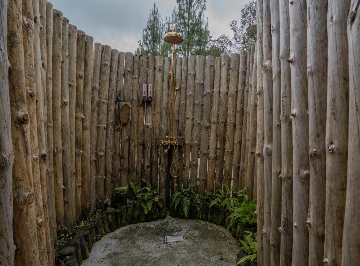 מלון אל רטירו Bubblesky Glamping 40 Min From Medellin מראה חיצוני תמונה